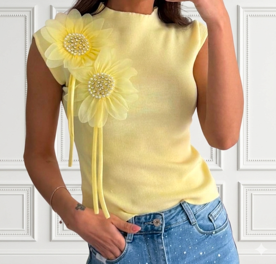 MAGLIA  ASTER 5 colori